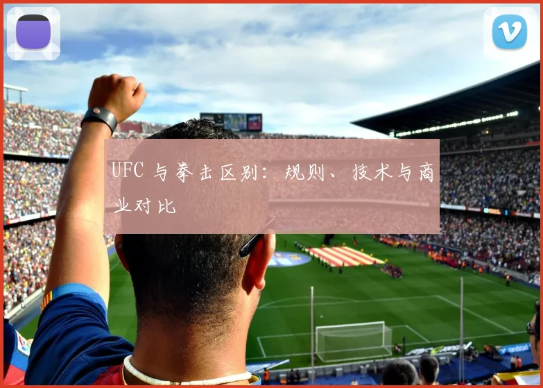 UFC 与拳击区别：规则、技术与商业对比