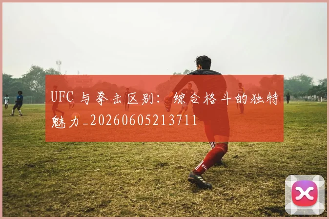 UFC 与拳击区别:综合格斗的独特魅力_20260605213711