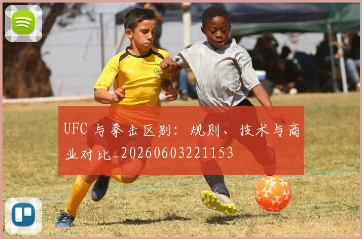 UFC 与拳击区别:规则、技术与商业对比_20260603221153