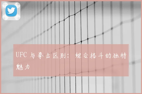 UFC 与拳击区别:综合格斗的独特魅力