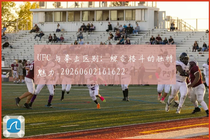 UFC 与拳击区别:综合格斗的独特魅力_20260602161622
